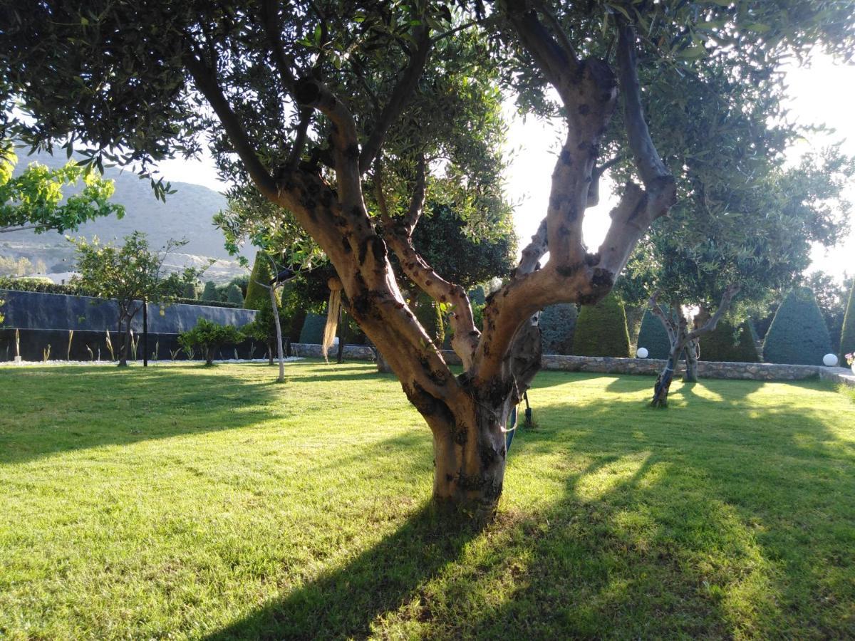 Golden Crest Villa Chersonissos Buitenkant foto